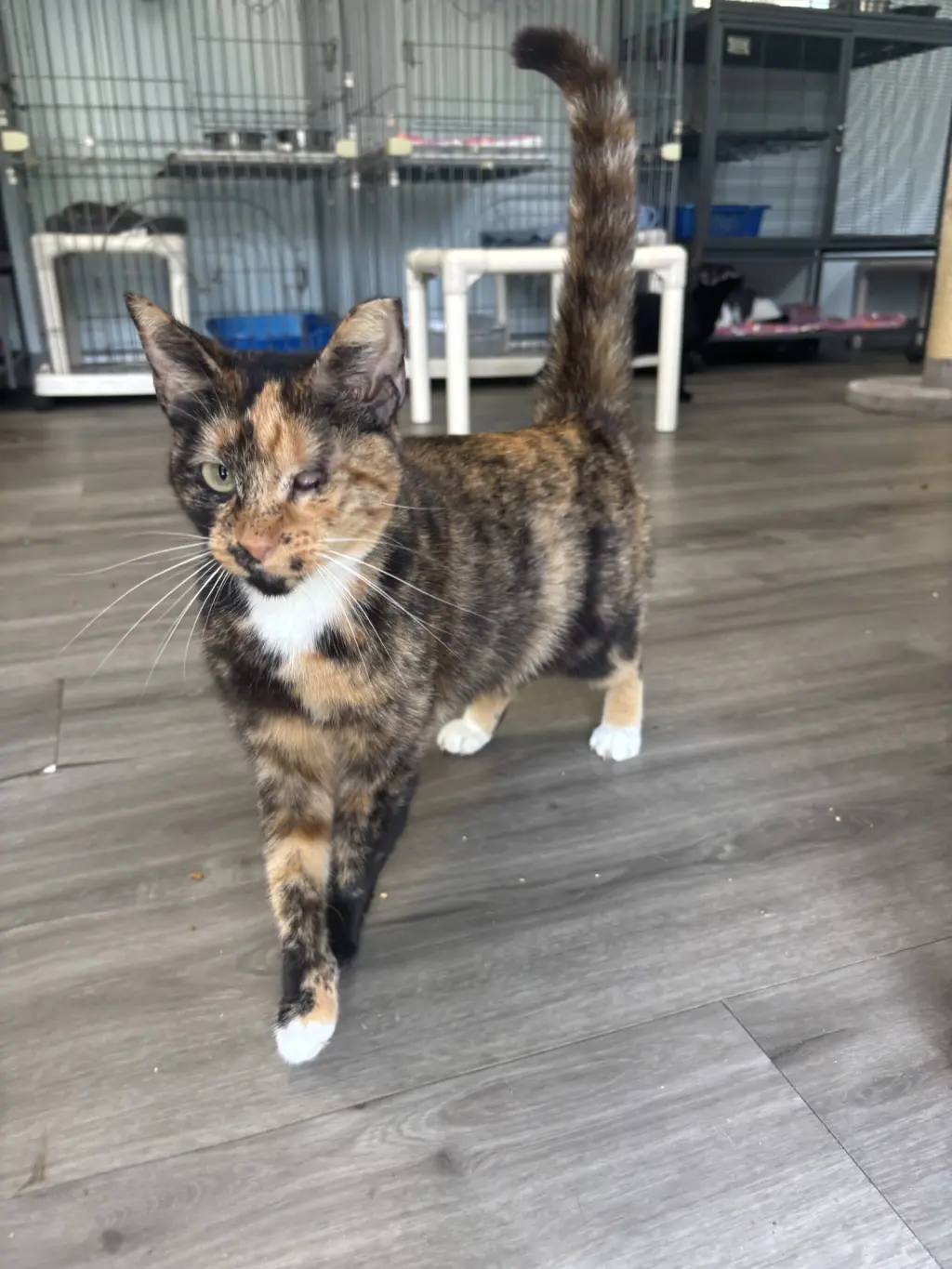 Ellie Mae