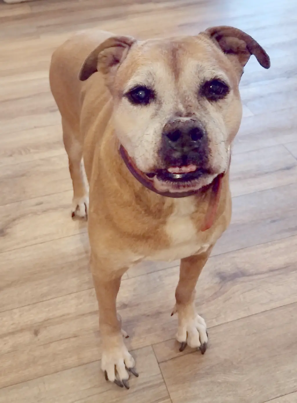 Delilah