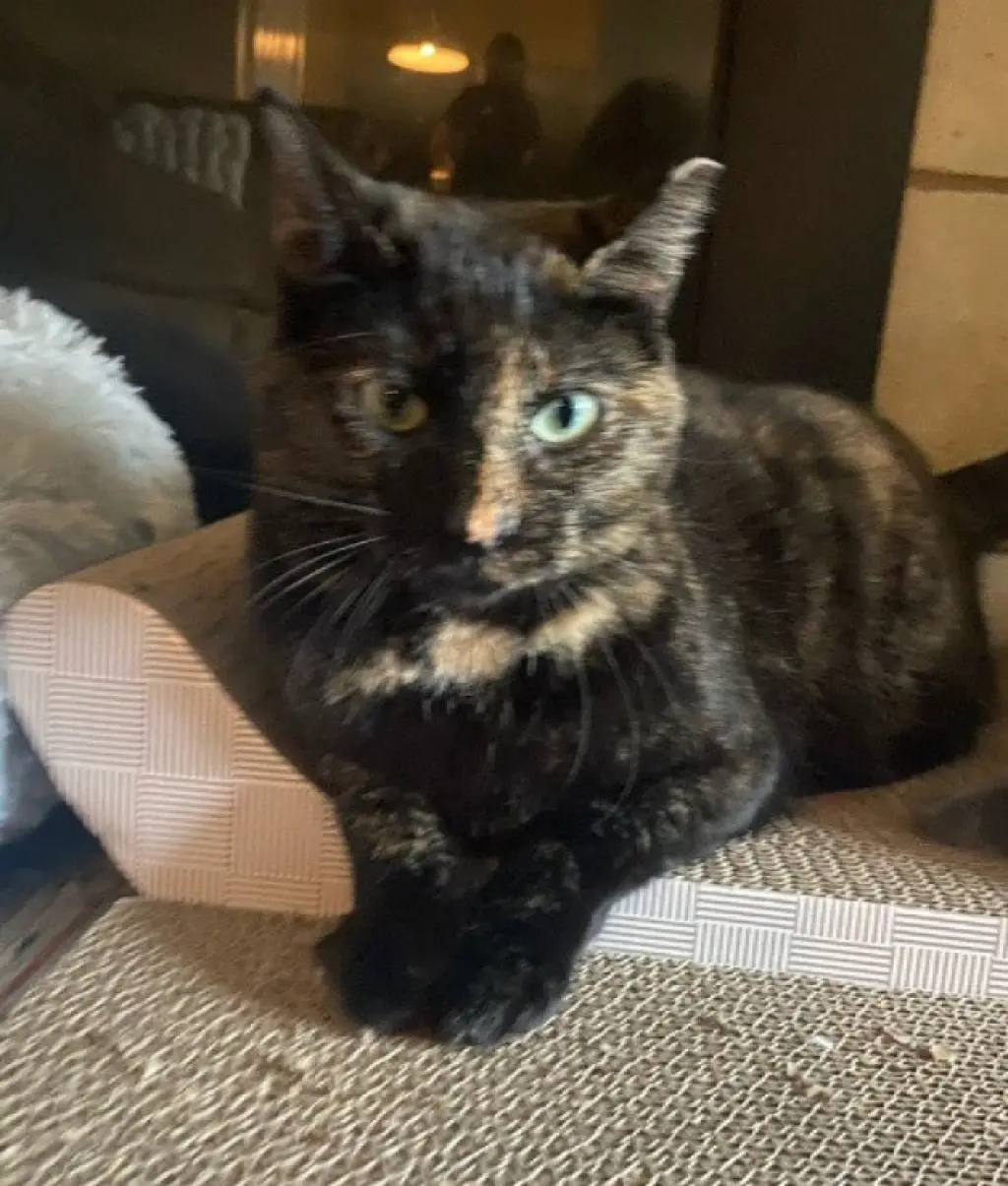 eleanor