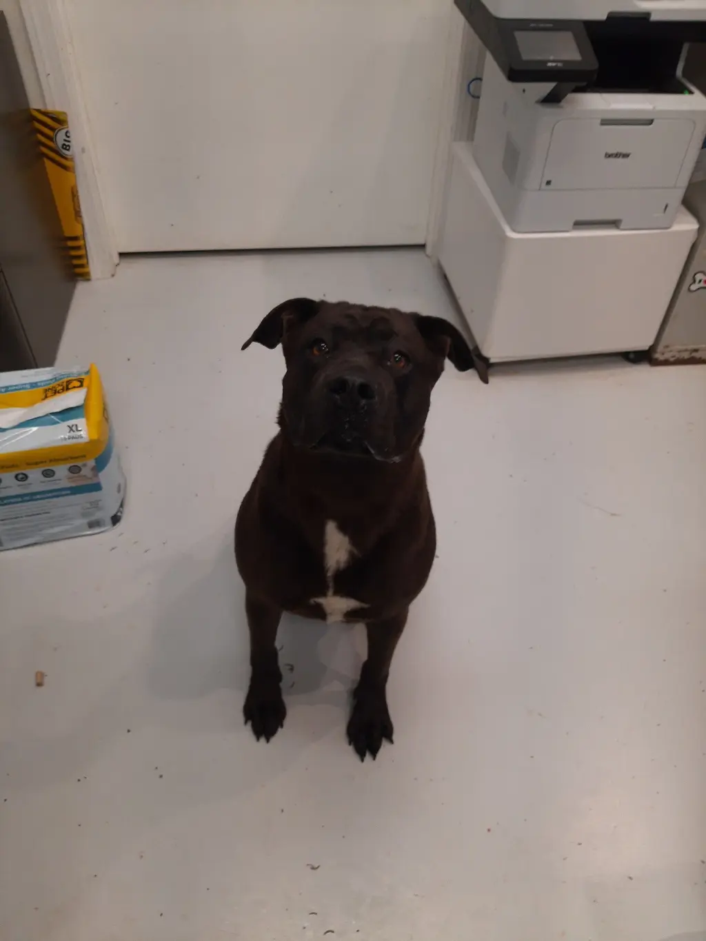 Kona