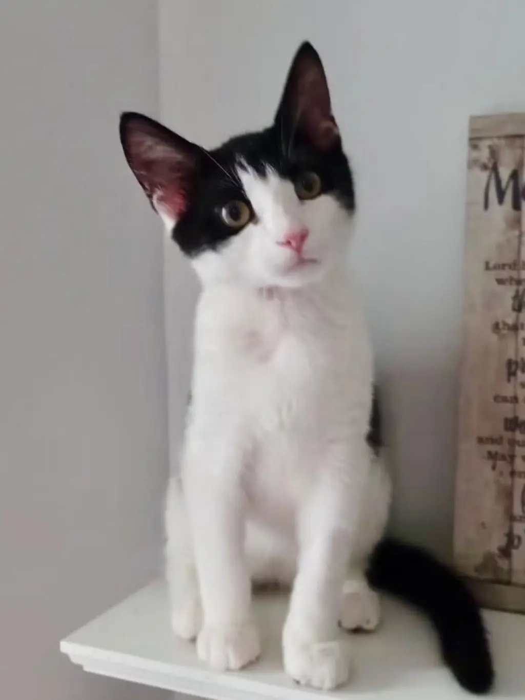 Berlioz