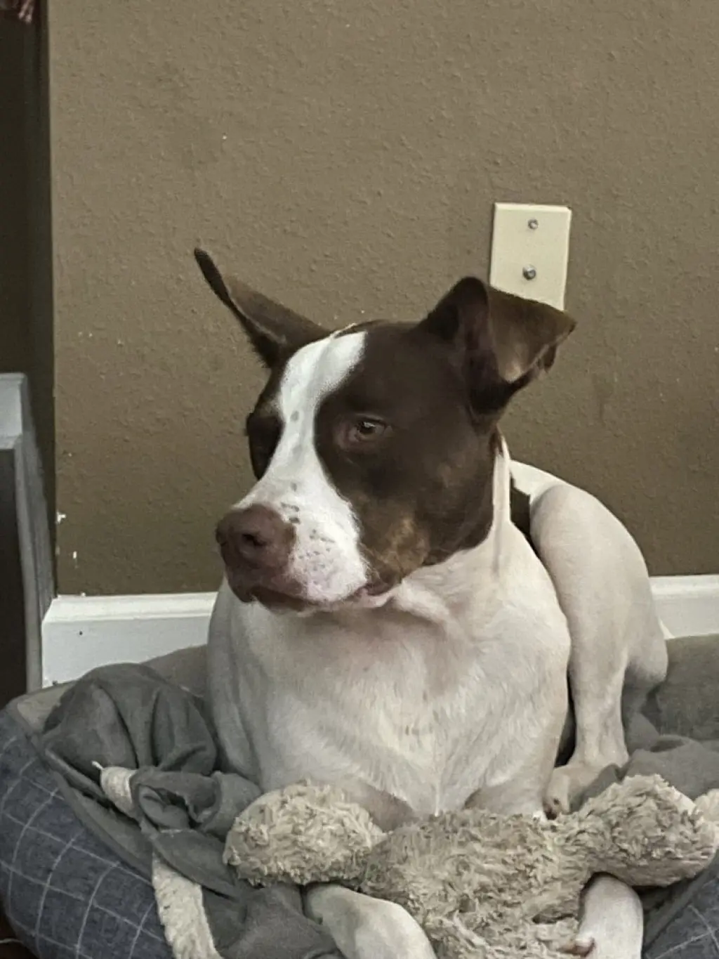 Roscoe