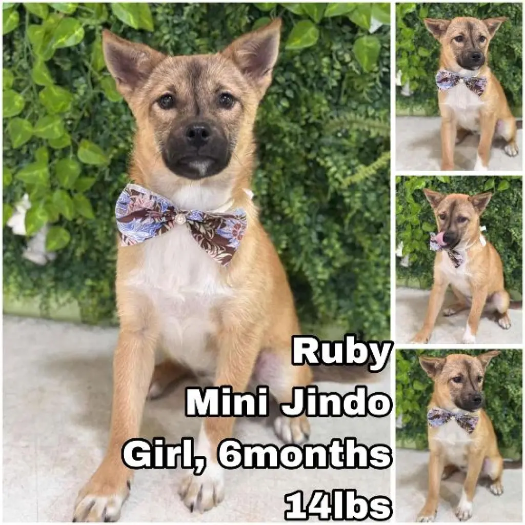 Ruby from Korea