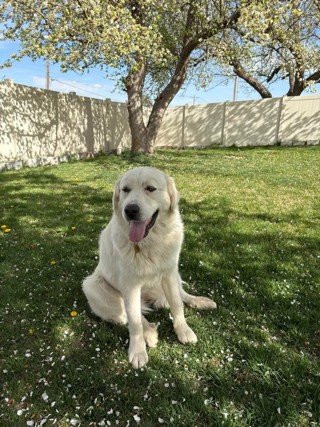 Miss Maggie