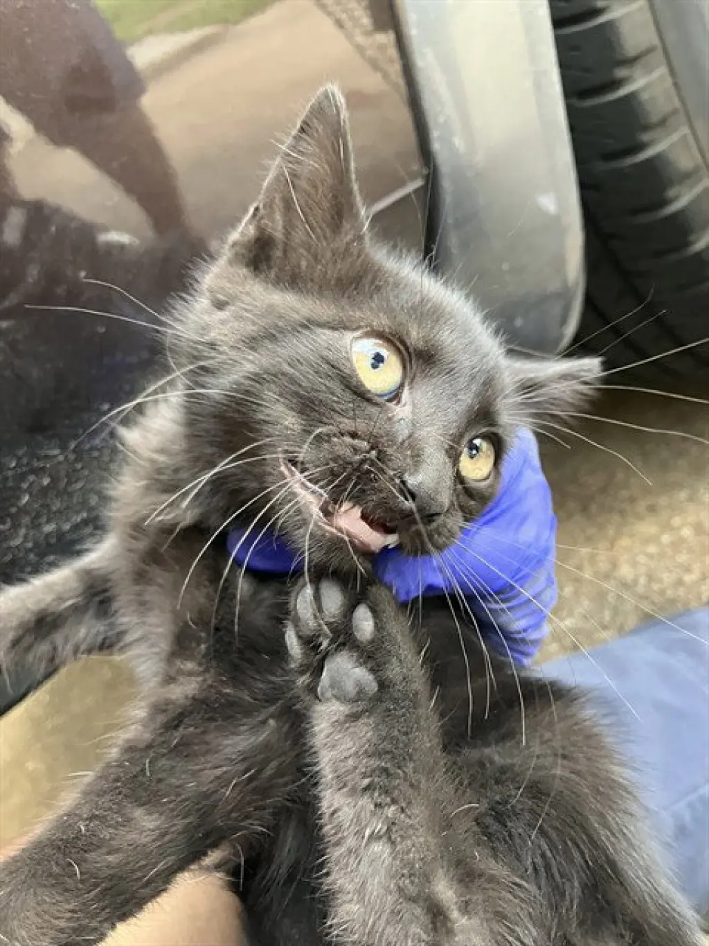 SALEM
