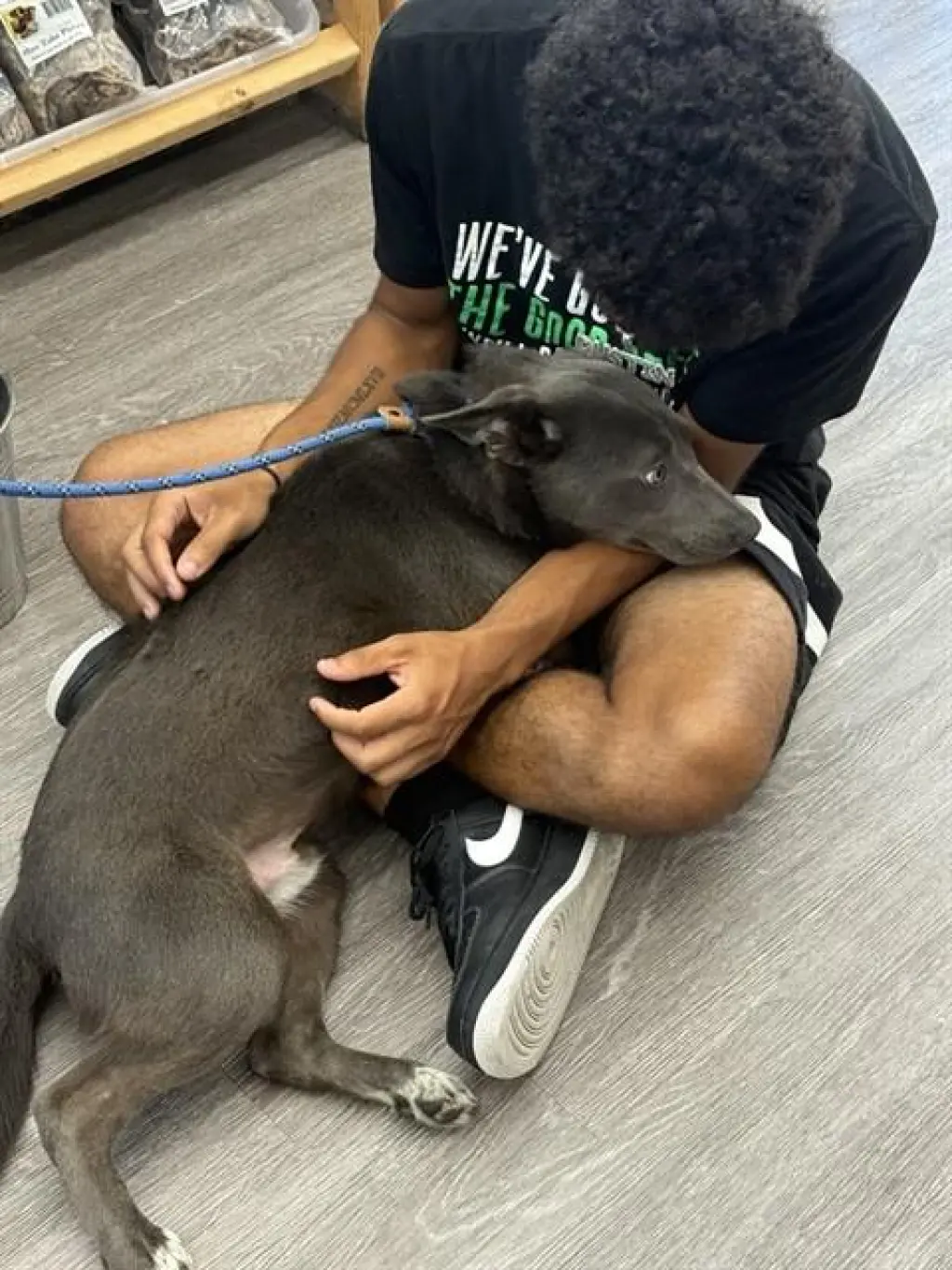 K-PUP