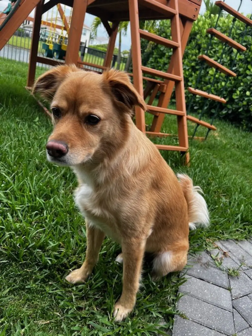 Tucker *