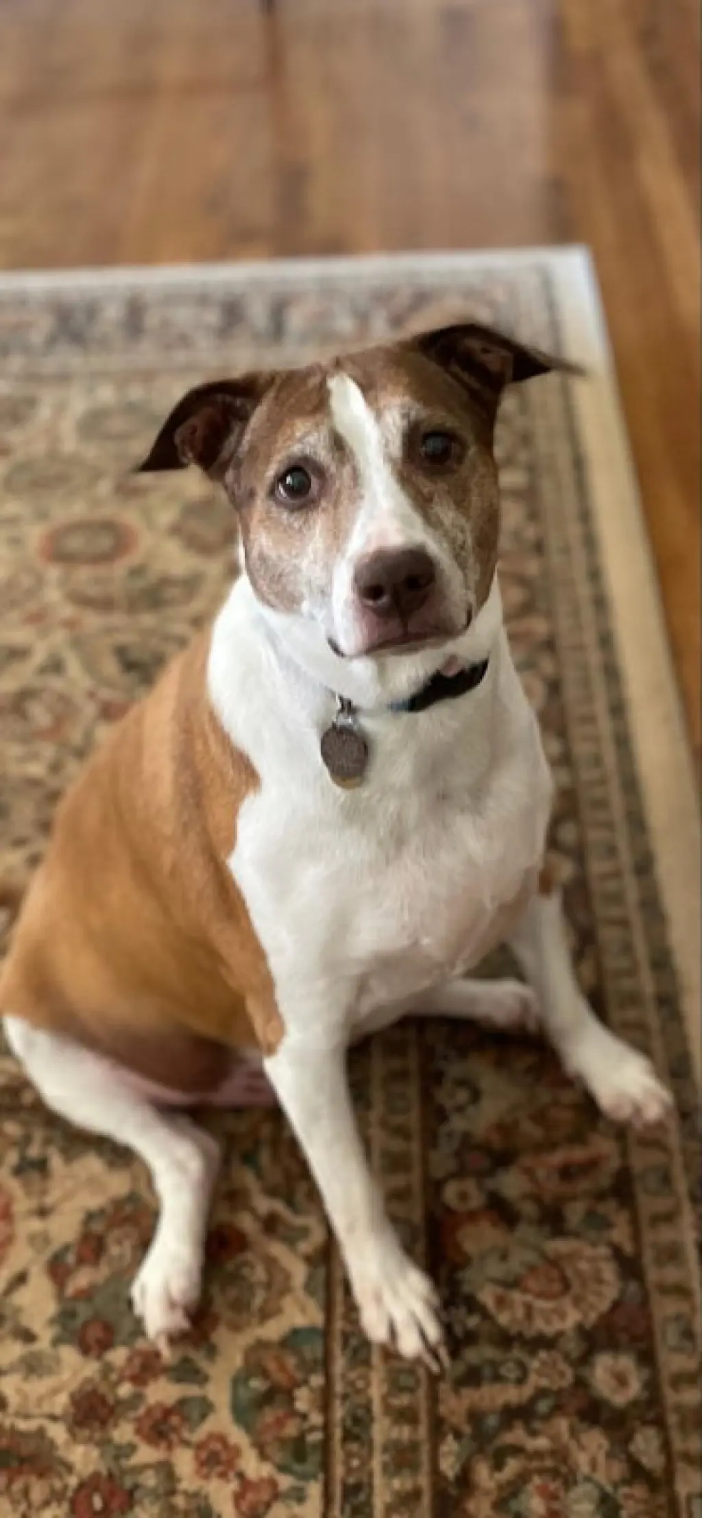Cocoa - Cross Post