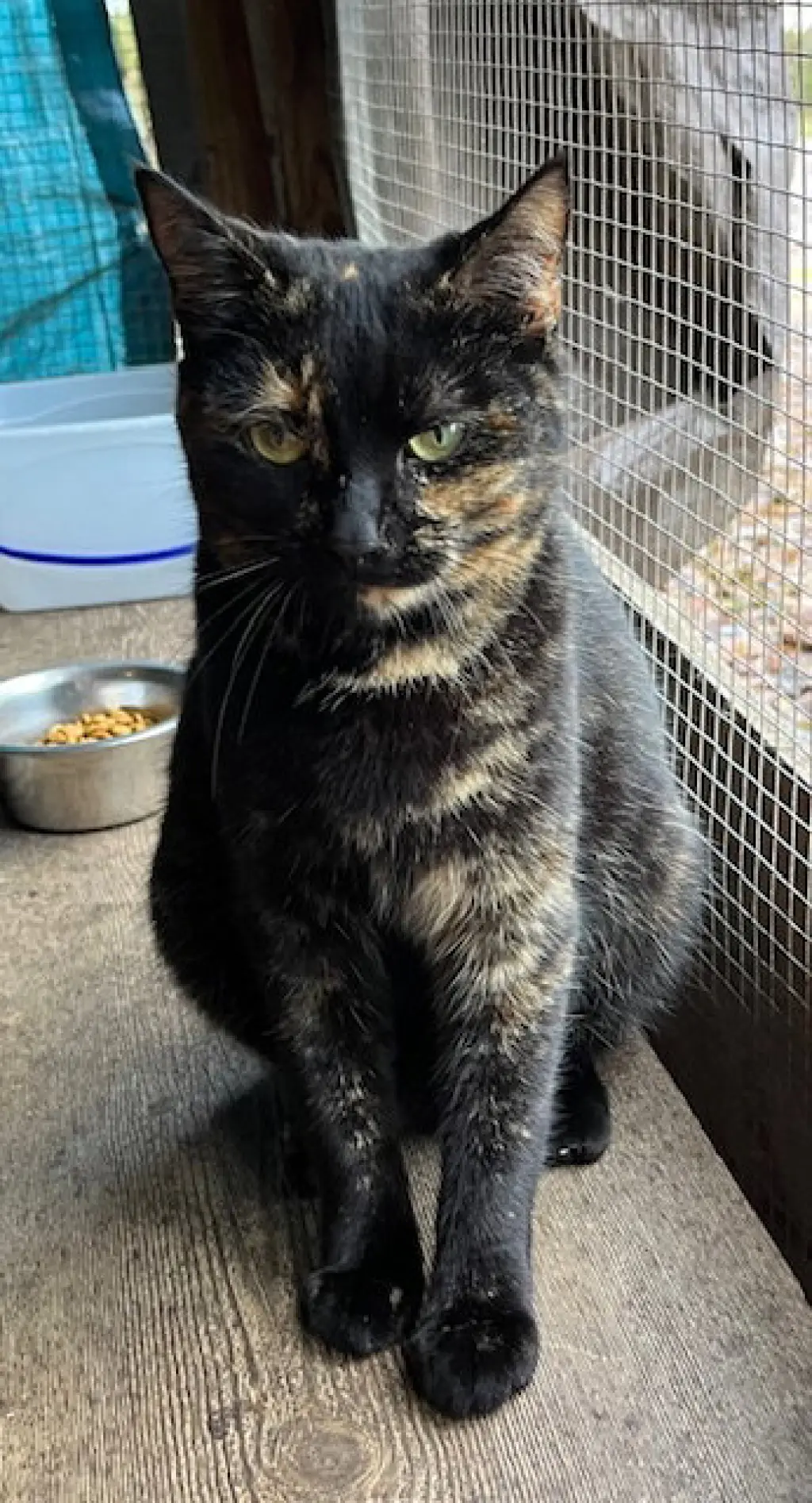 Lucy