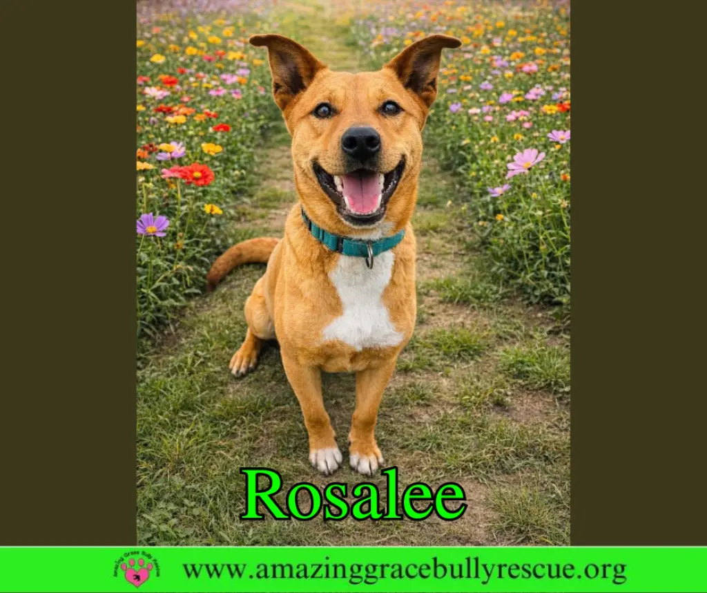 Rosalee