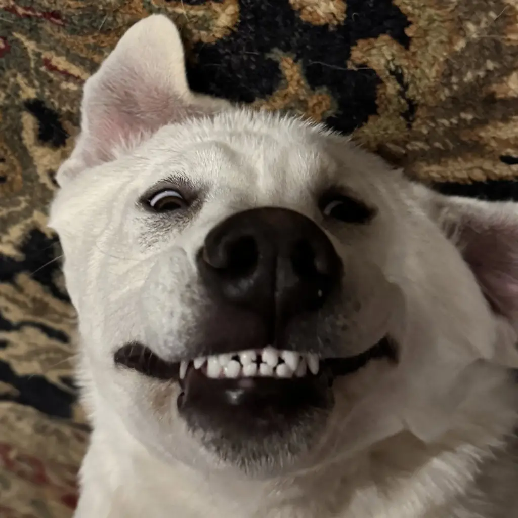 Barry