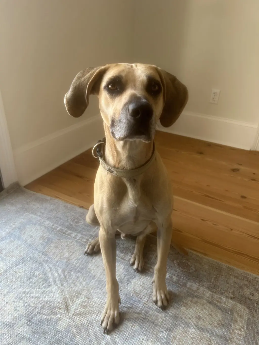 Winston