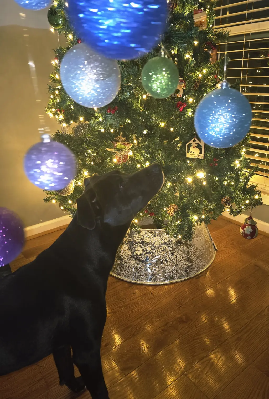 Jax