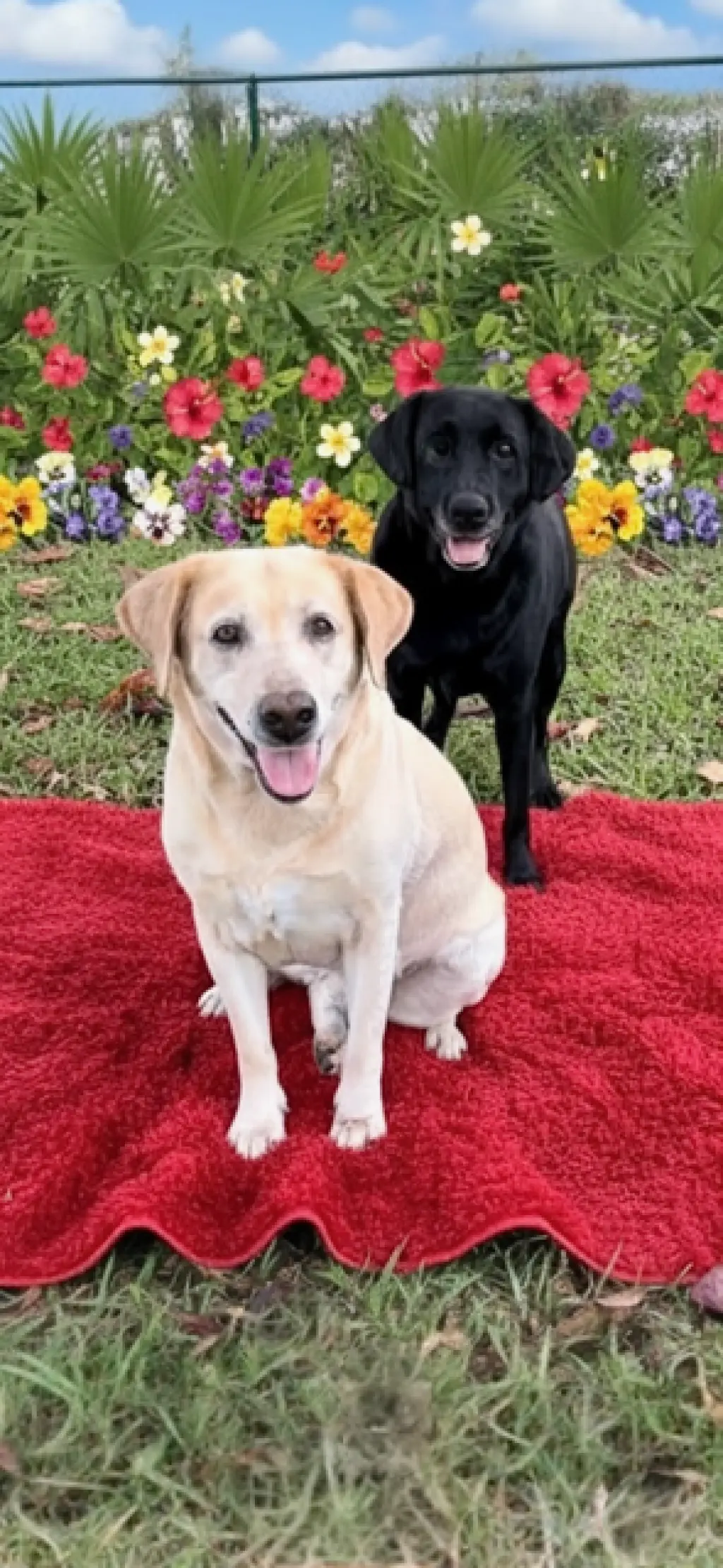 Clara & Sasha Maria