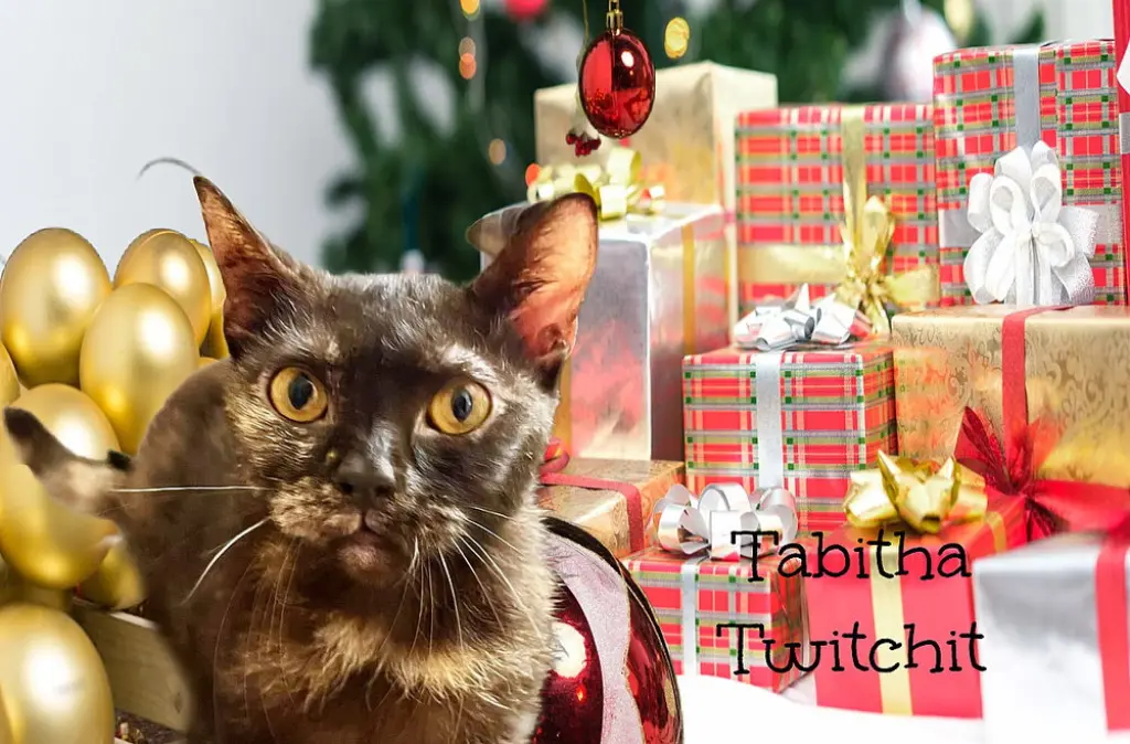 Tabitha Twitchit