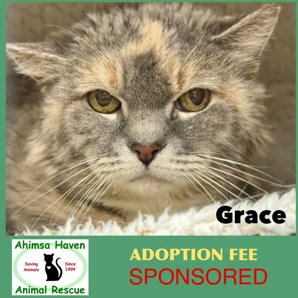 Grace