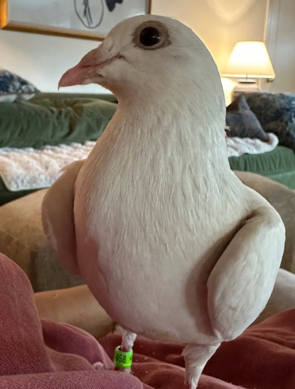Evan w/ Silver