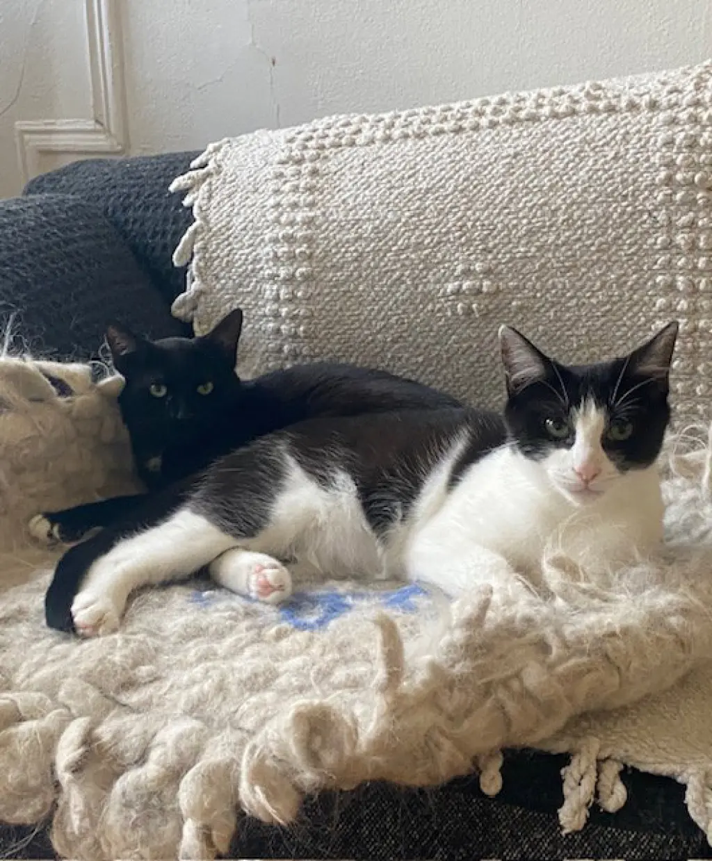 Luna and Lyra