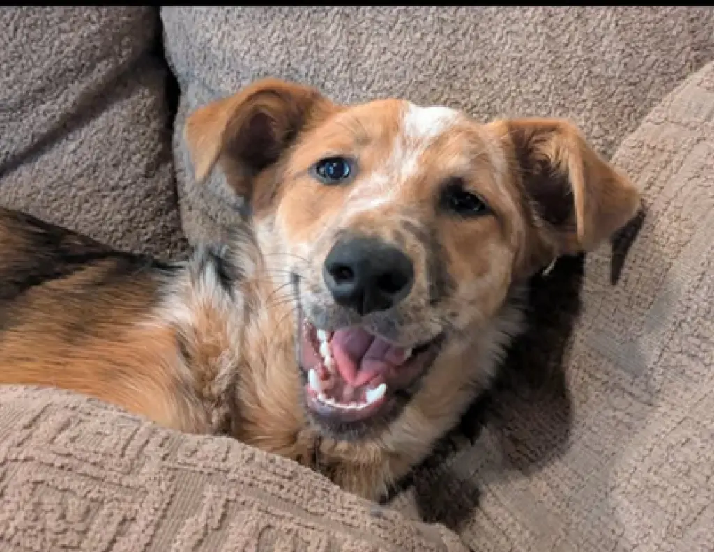 Rusty