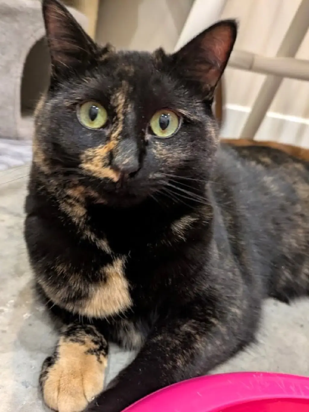 Minnie