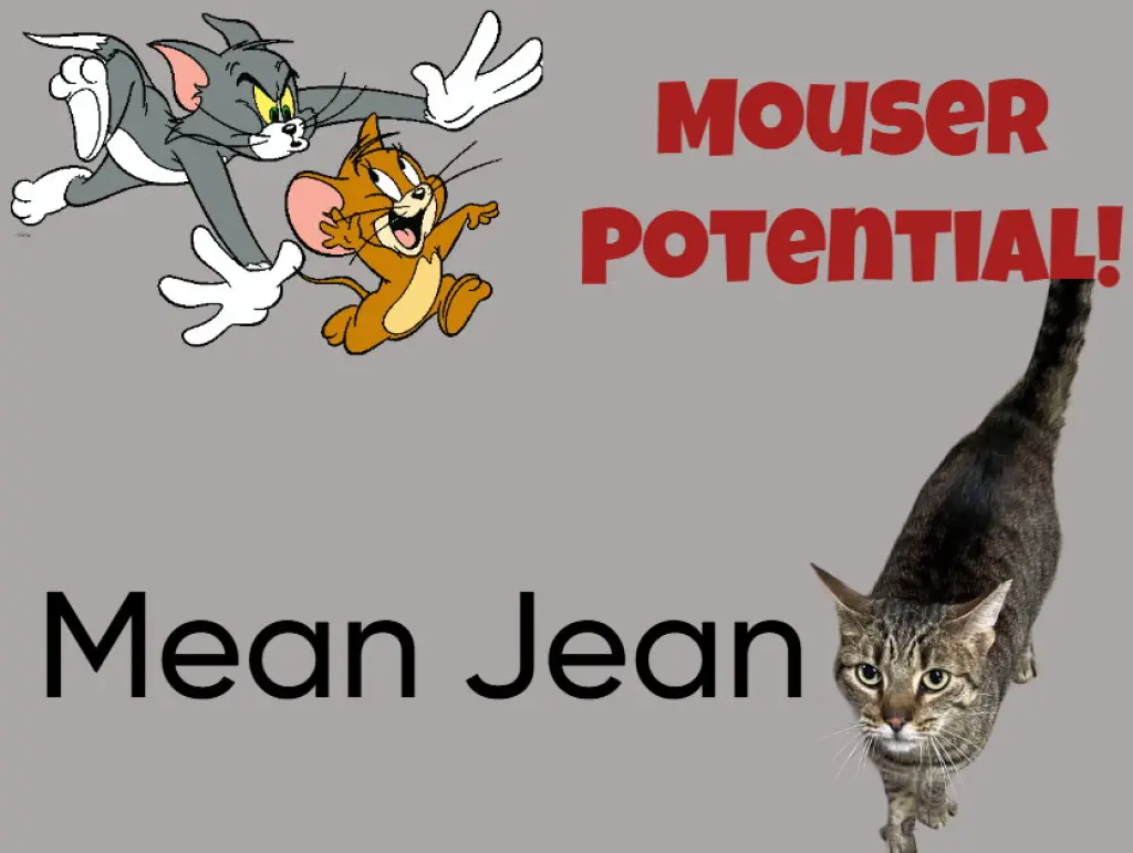 Mean Jean