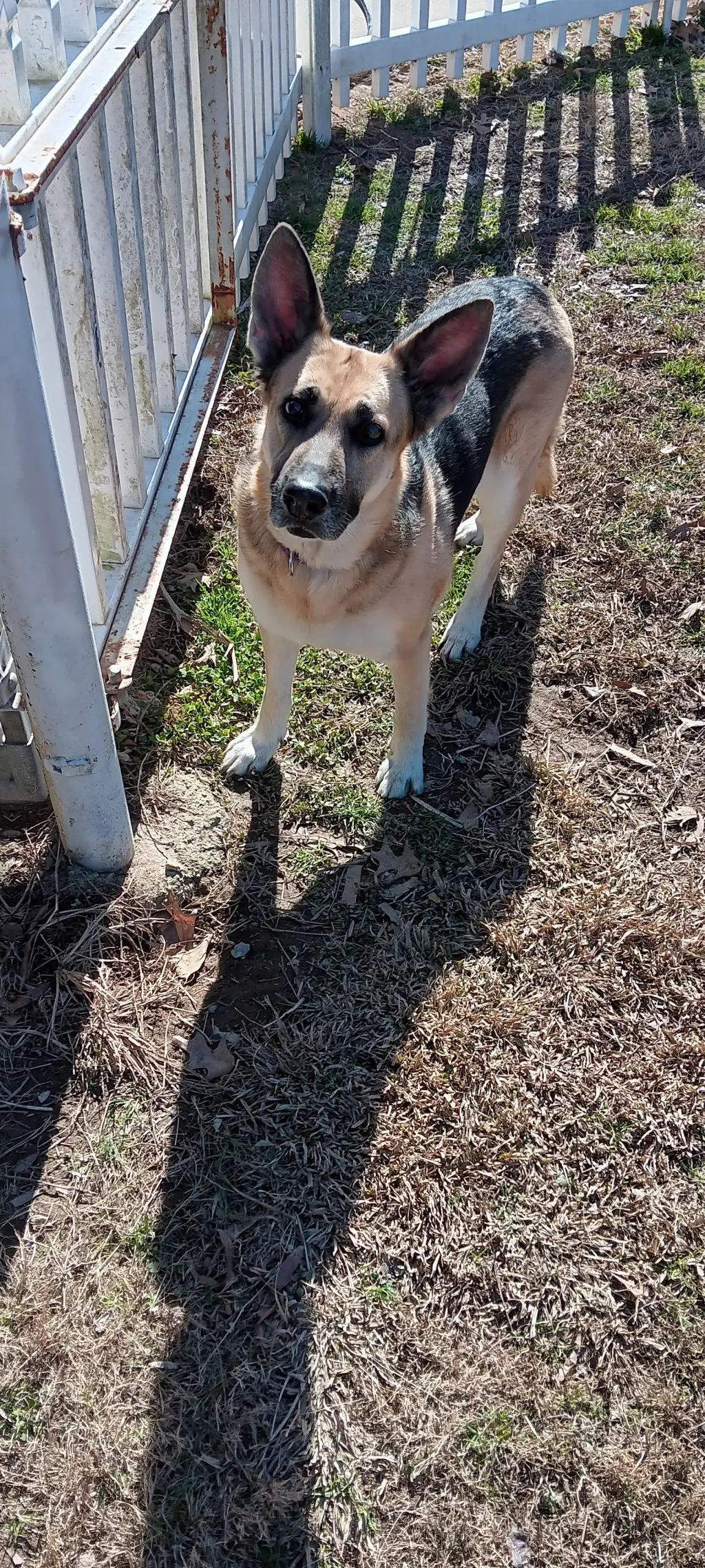 Maggie (CL)