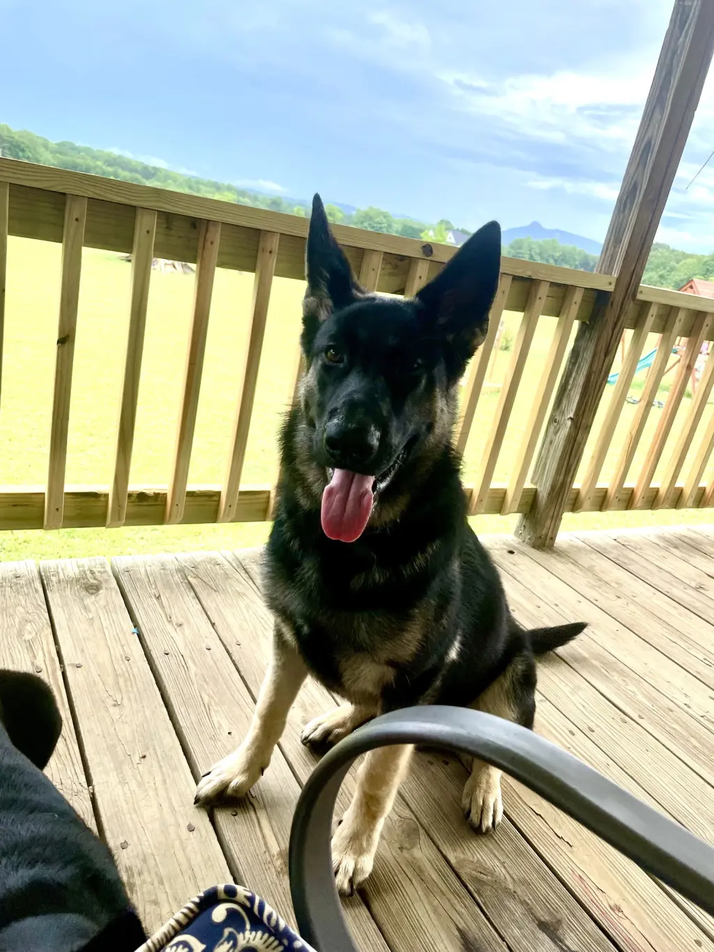 Zeke (CL)