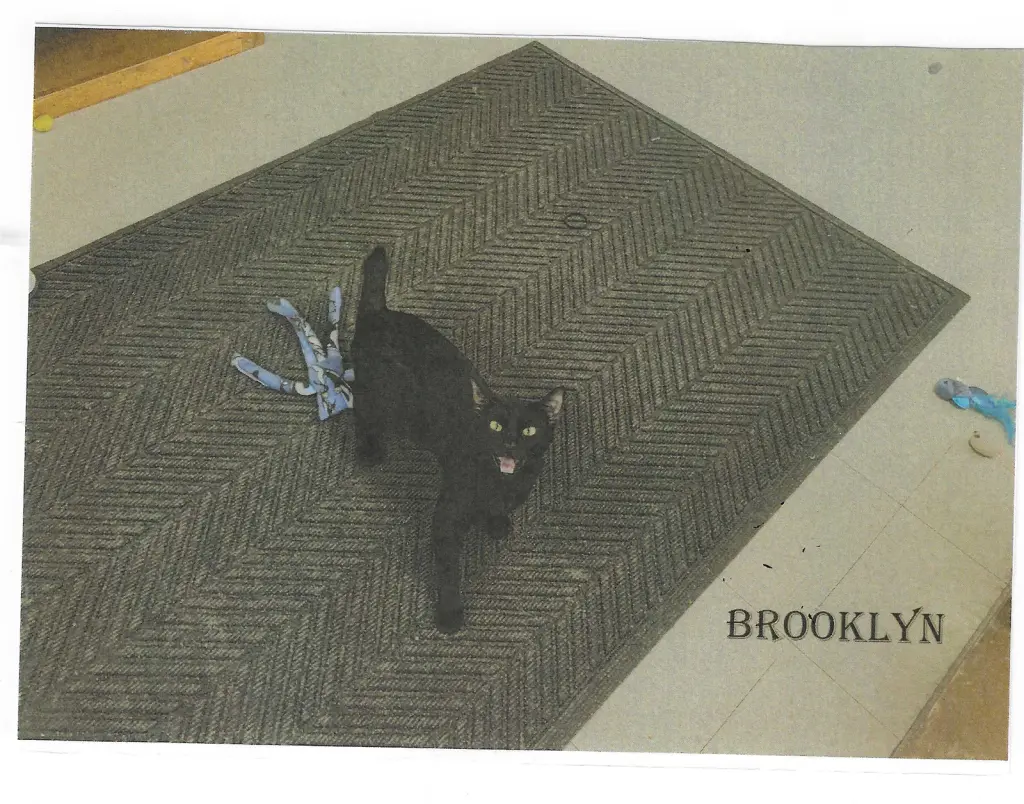 Brooklyn
