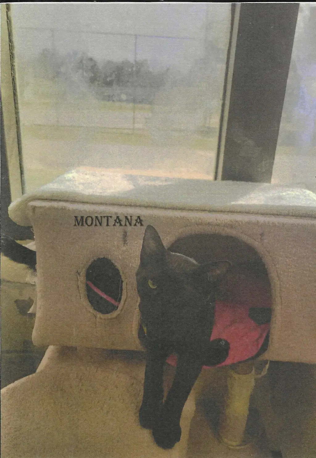 Montana