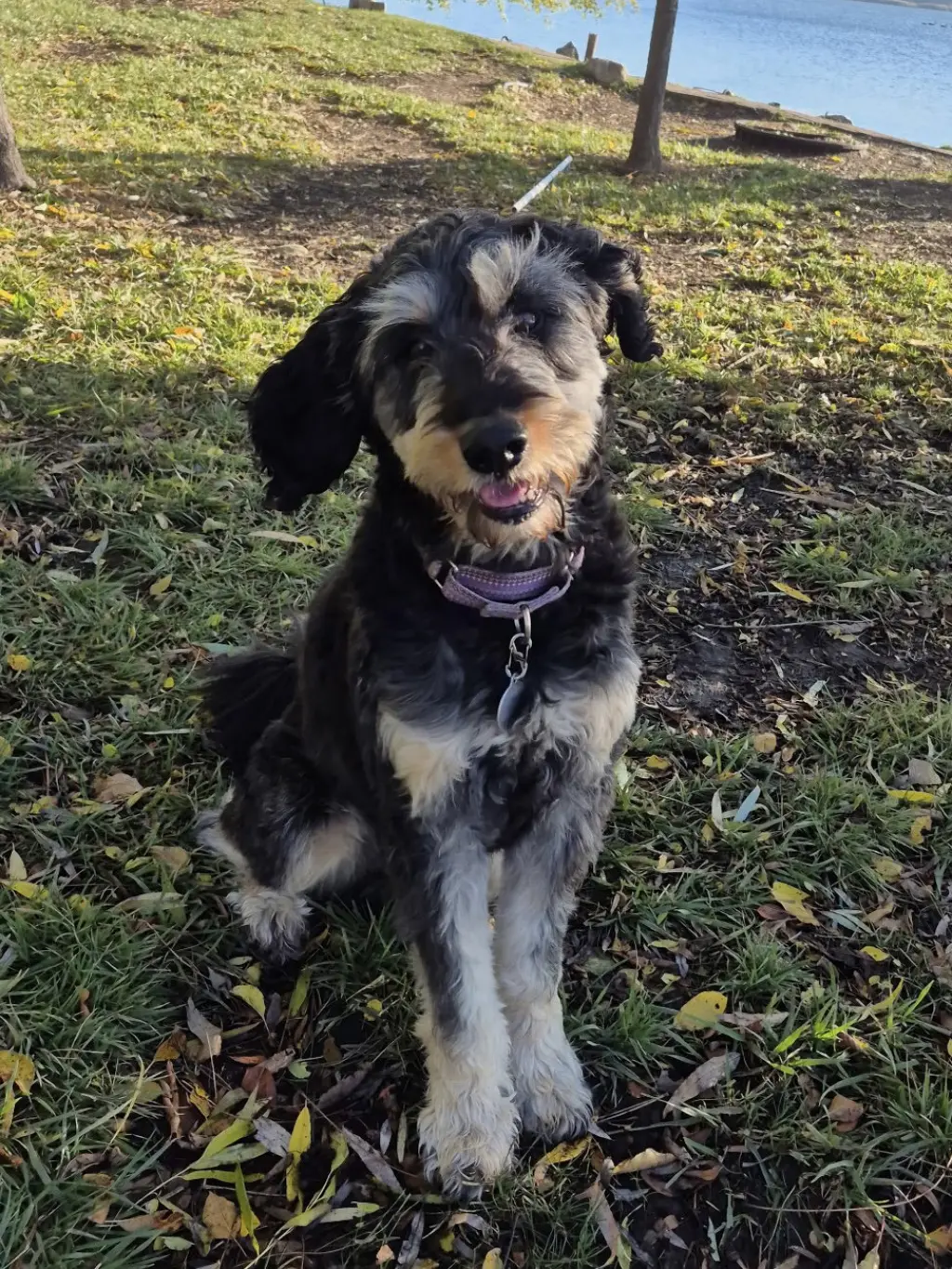 Odin