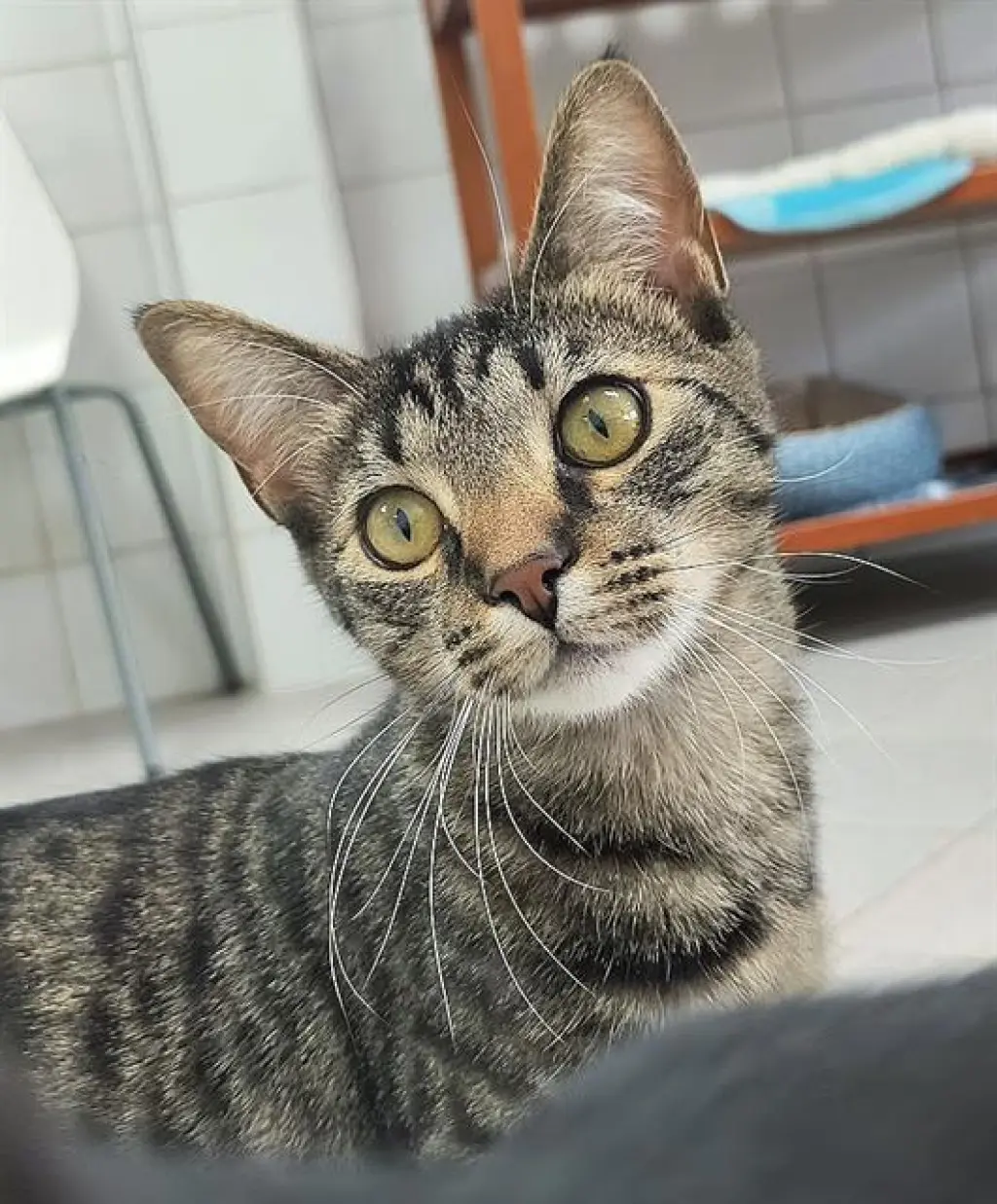 TILLY