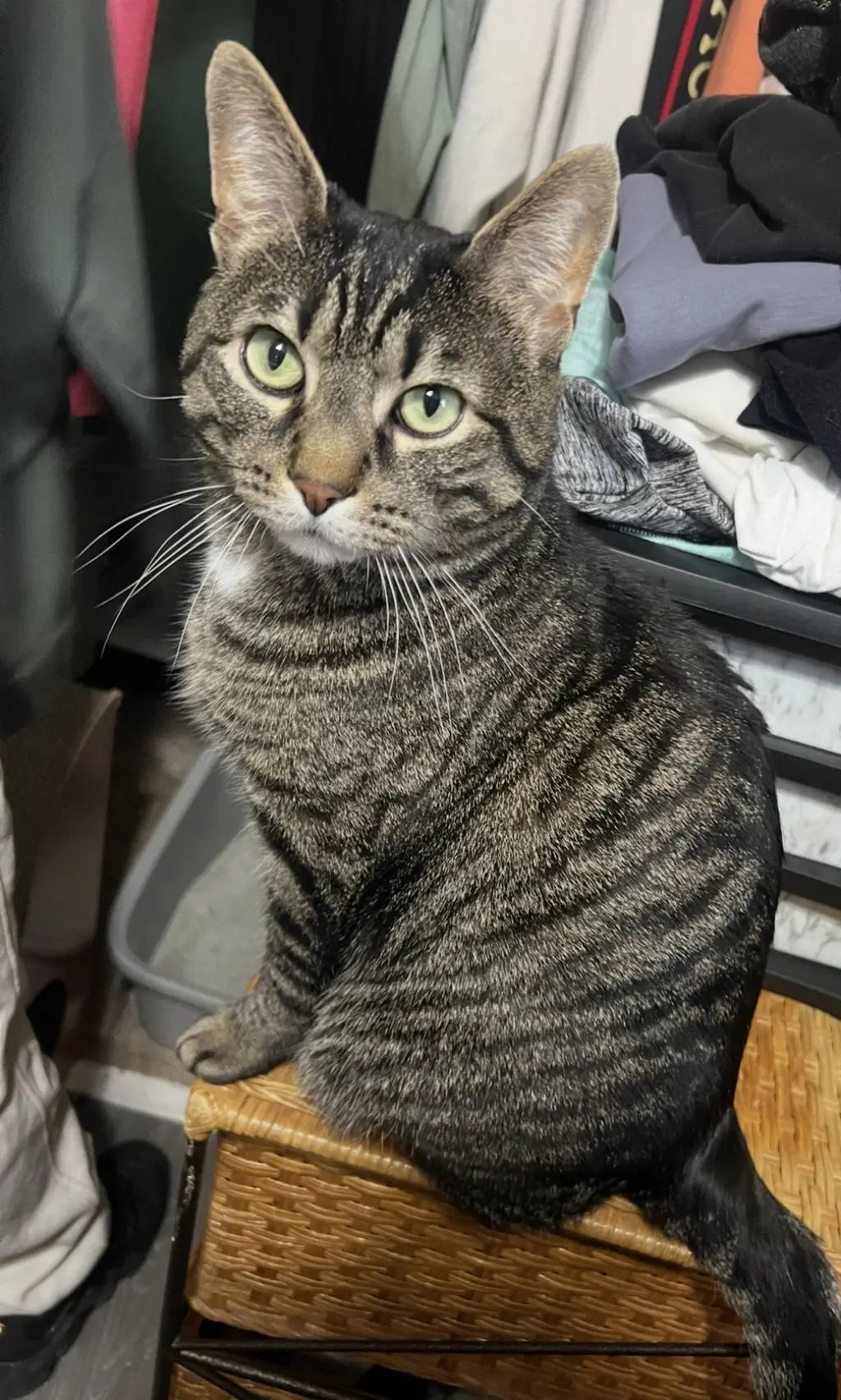 Roberto