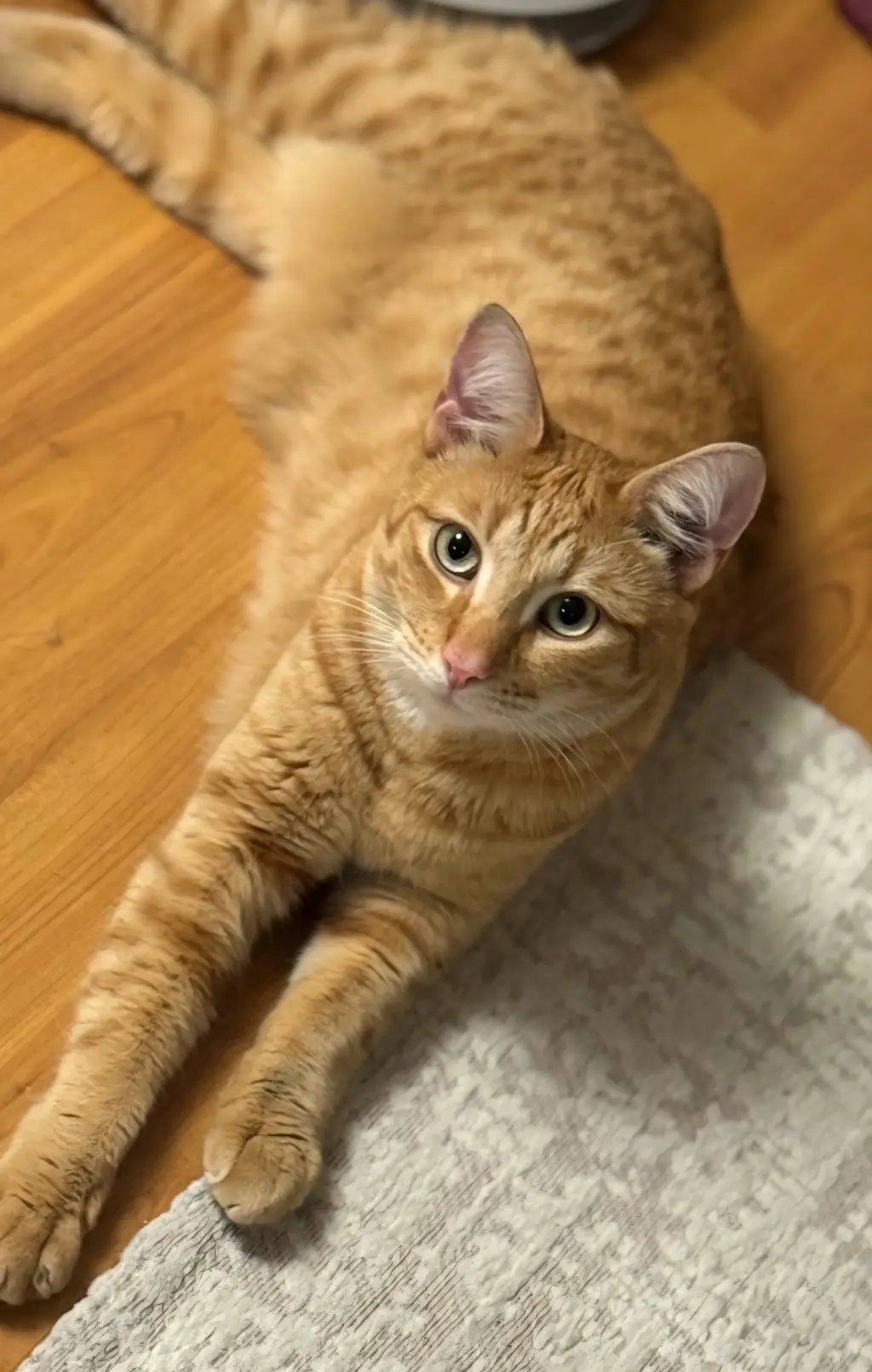 Rusty