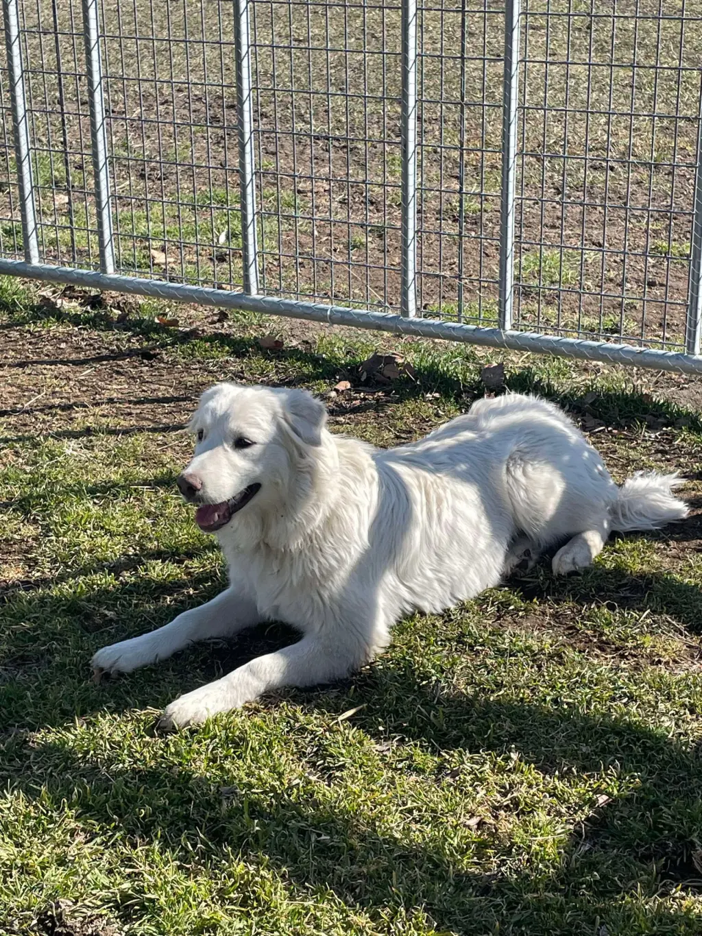 Mr Yuki
