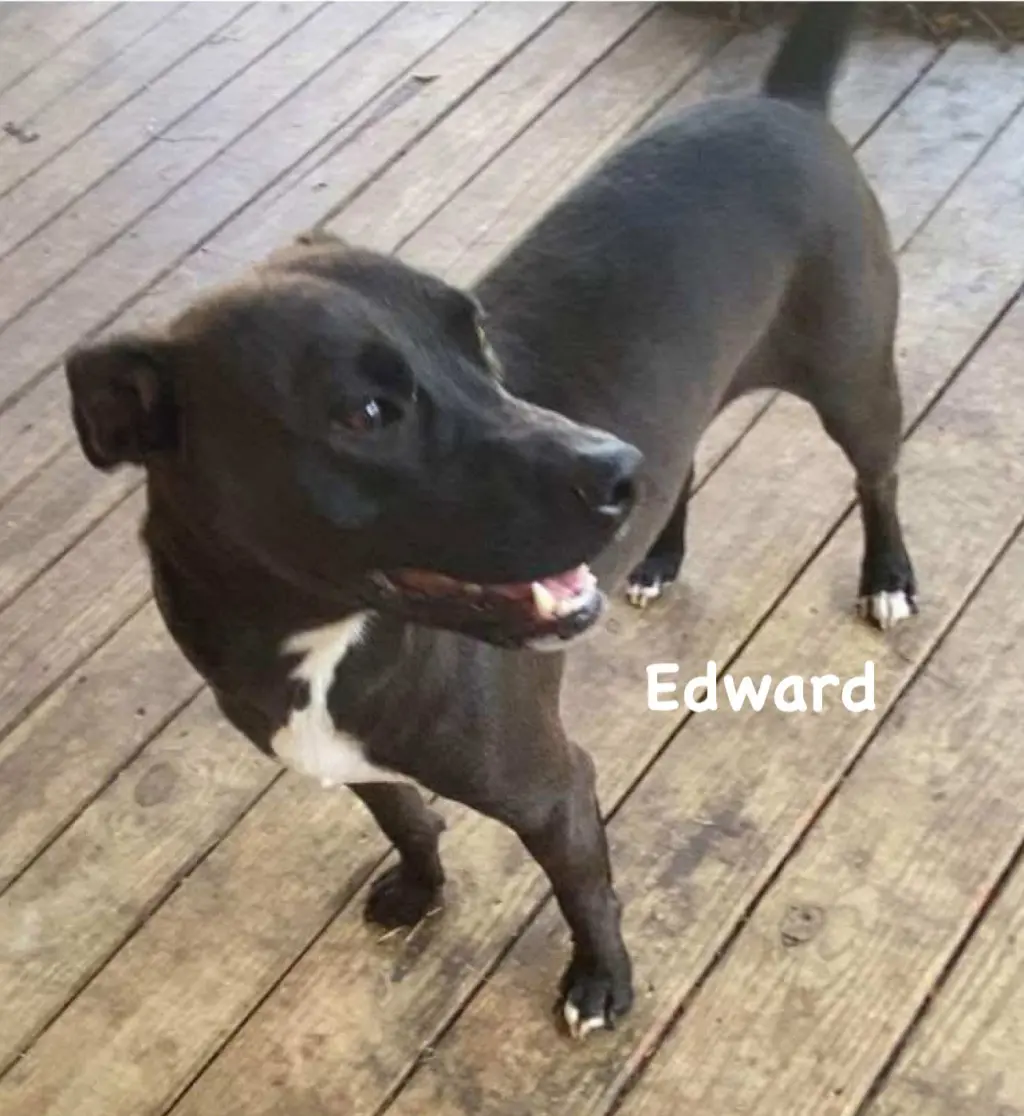 Edward