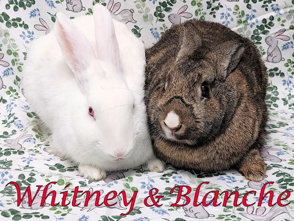 Whitney (bonded to Blanche)