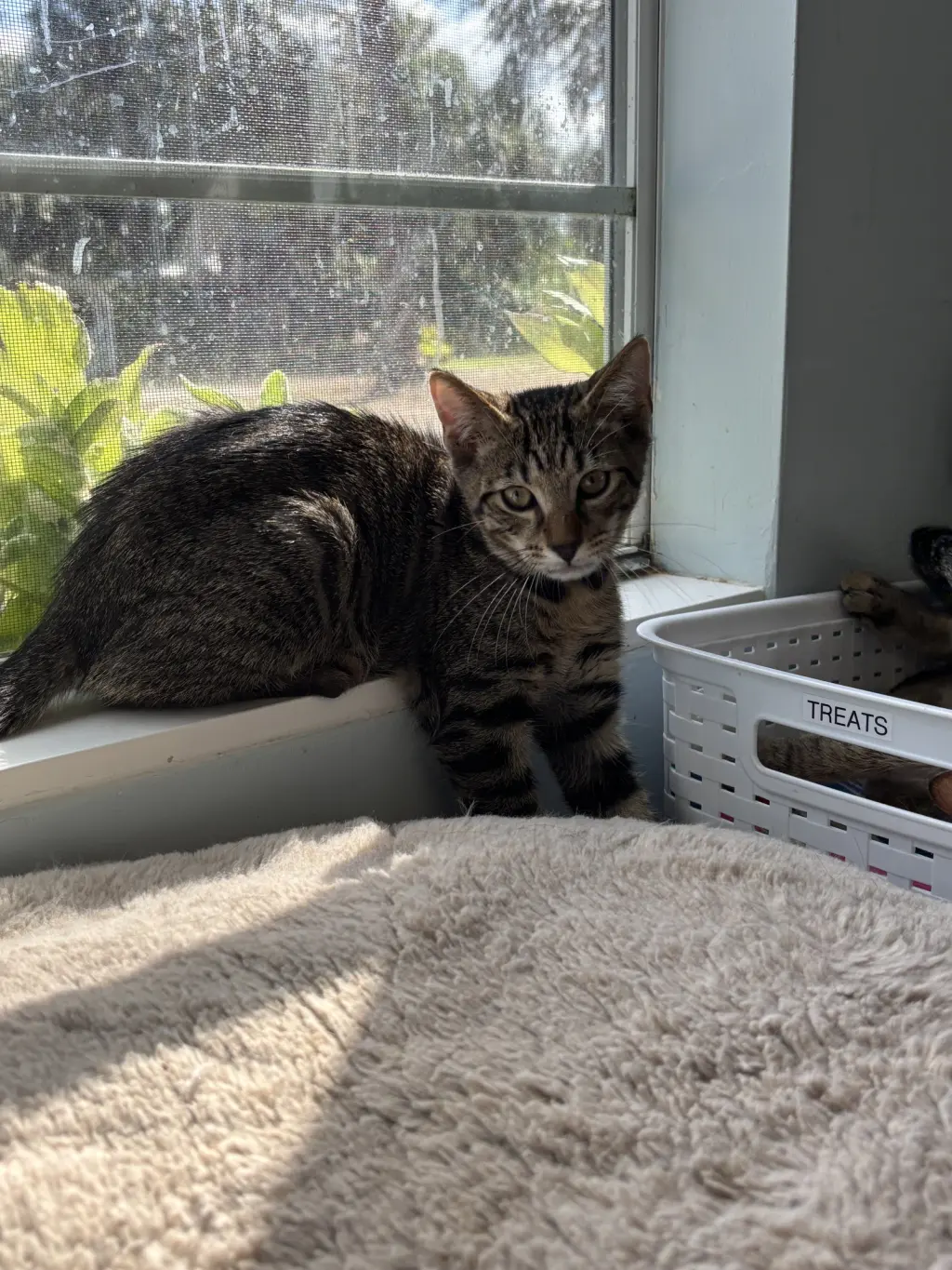 Keebler