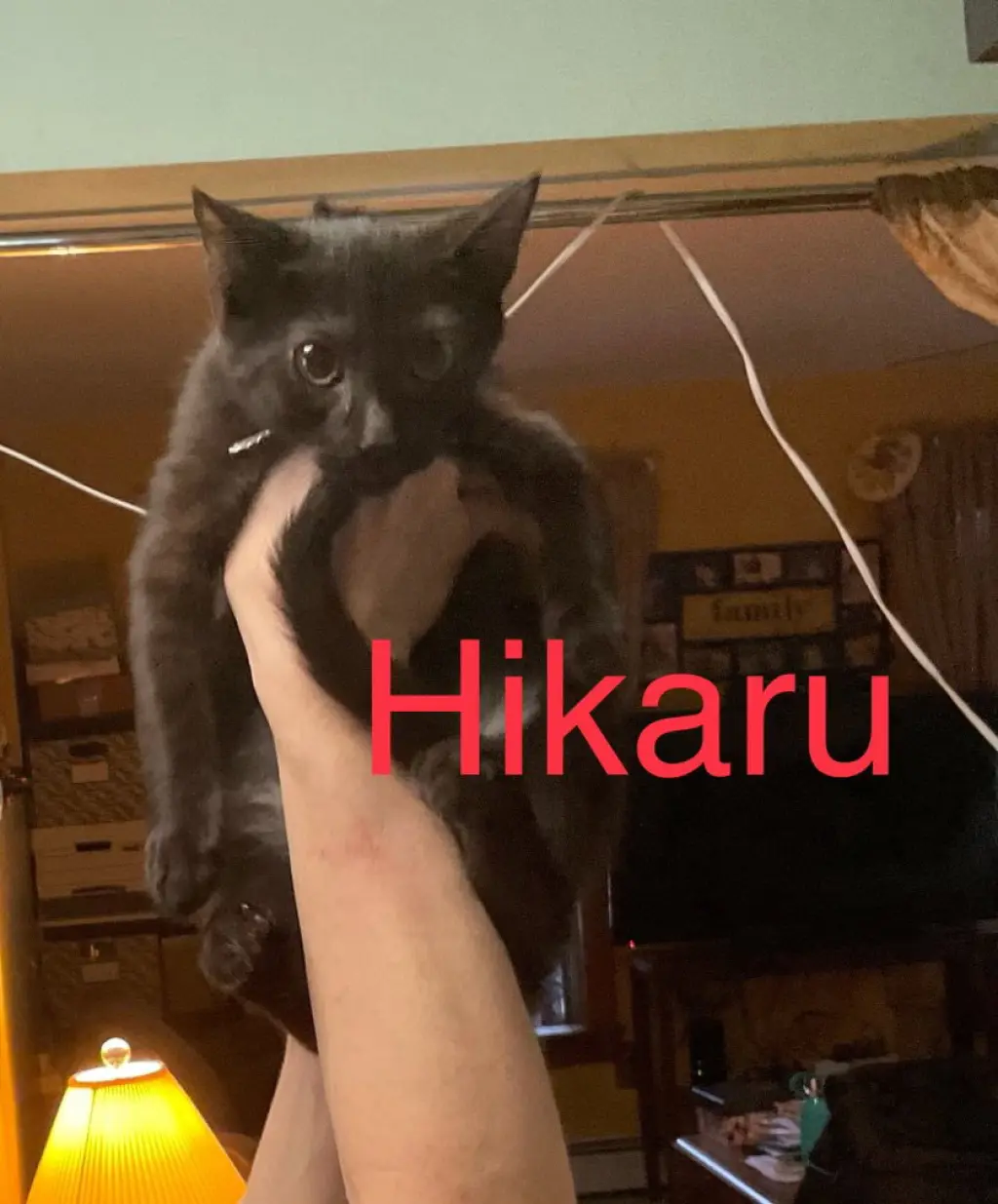 Hikaru