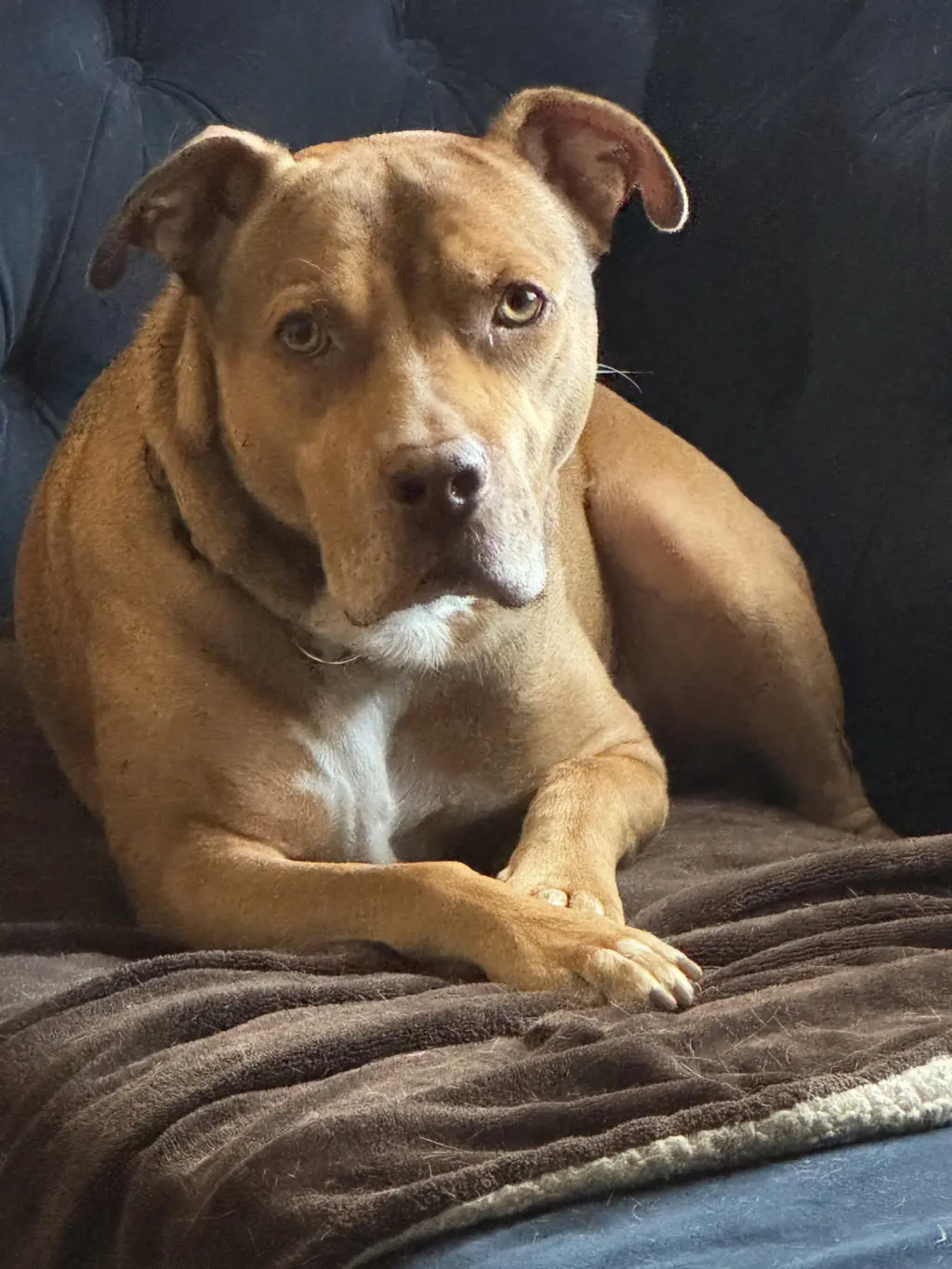 ROCKO