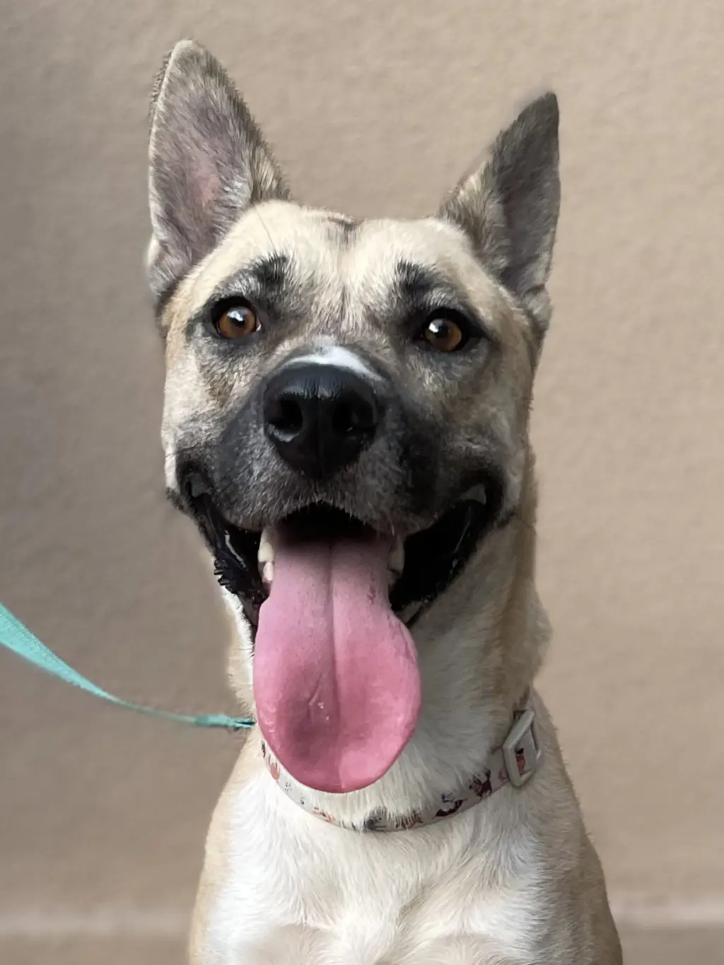 Gemma (Reduced Rover)