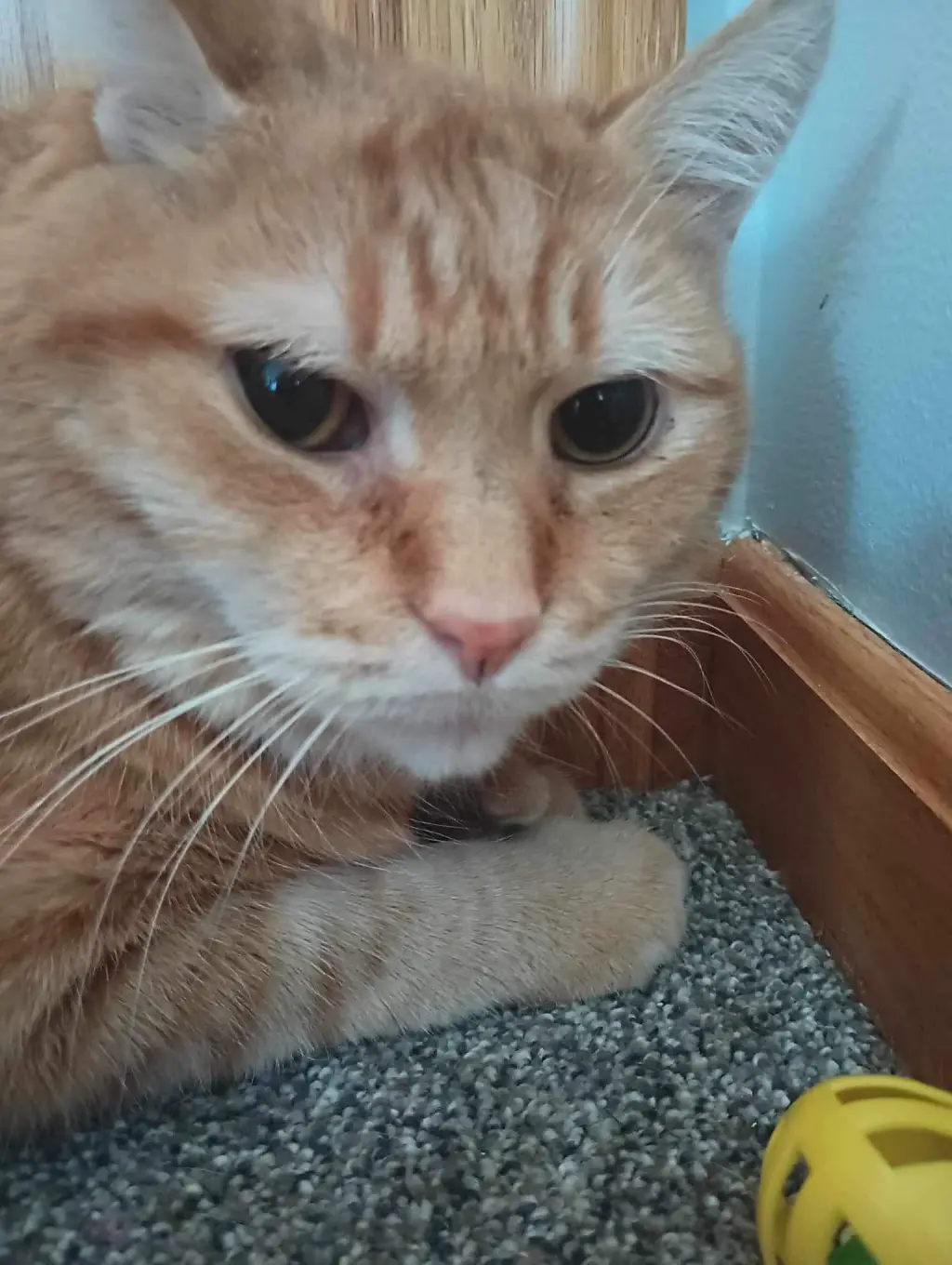 Hubert