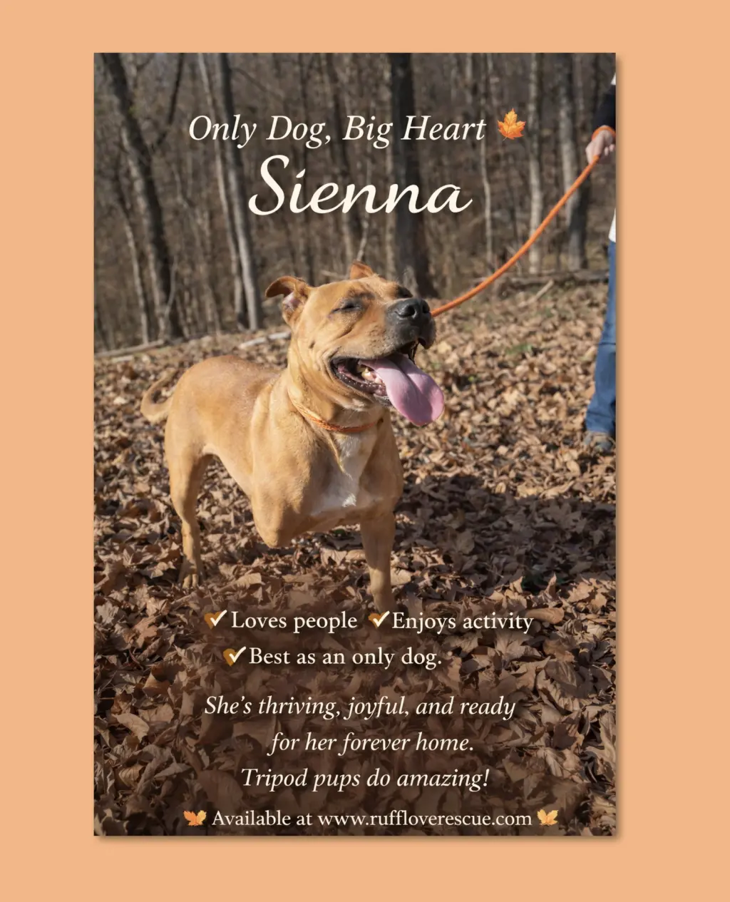 Sienna