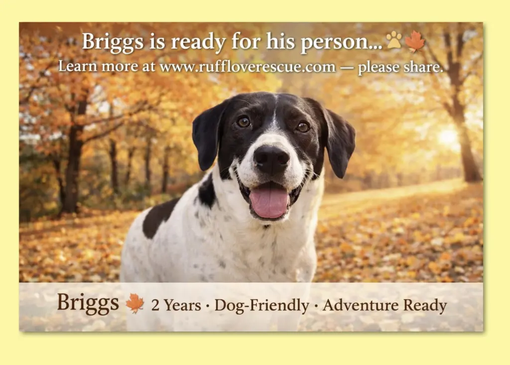 Briggs