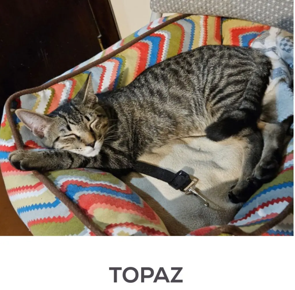 TOPAZ