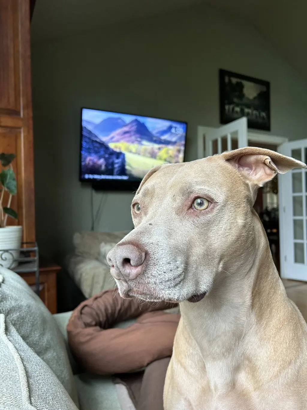 Maggie