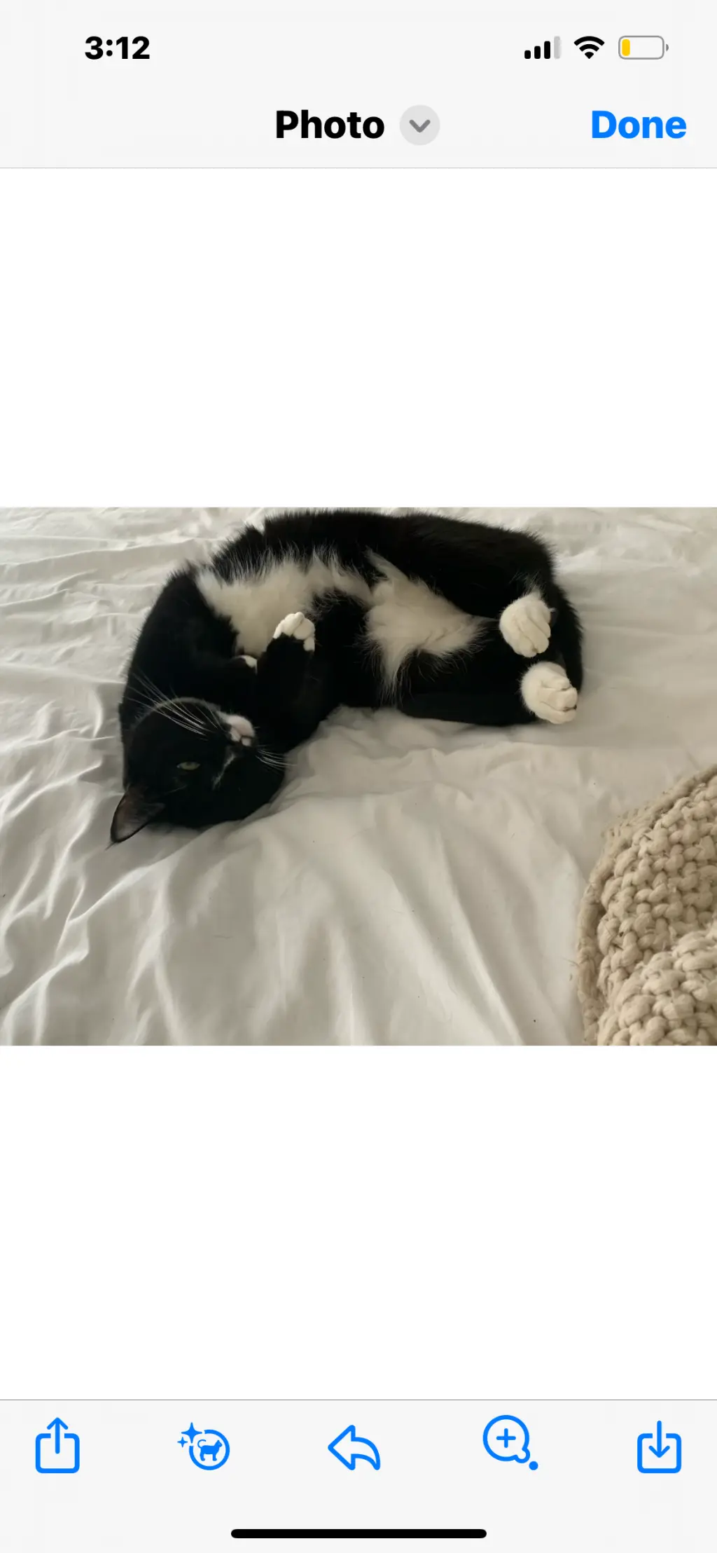 MS. BELLA (COURTESY POST)