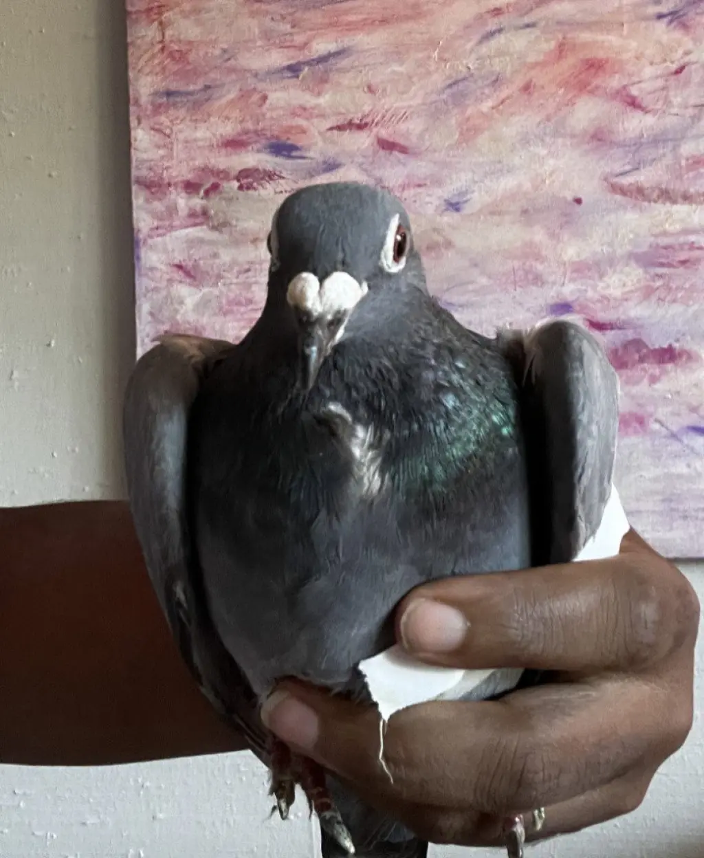 Dewey w/ Astro