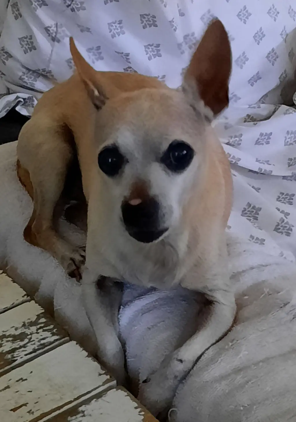 WALTER