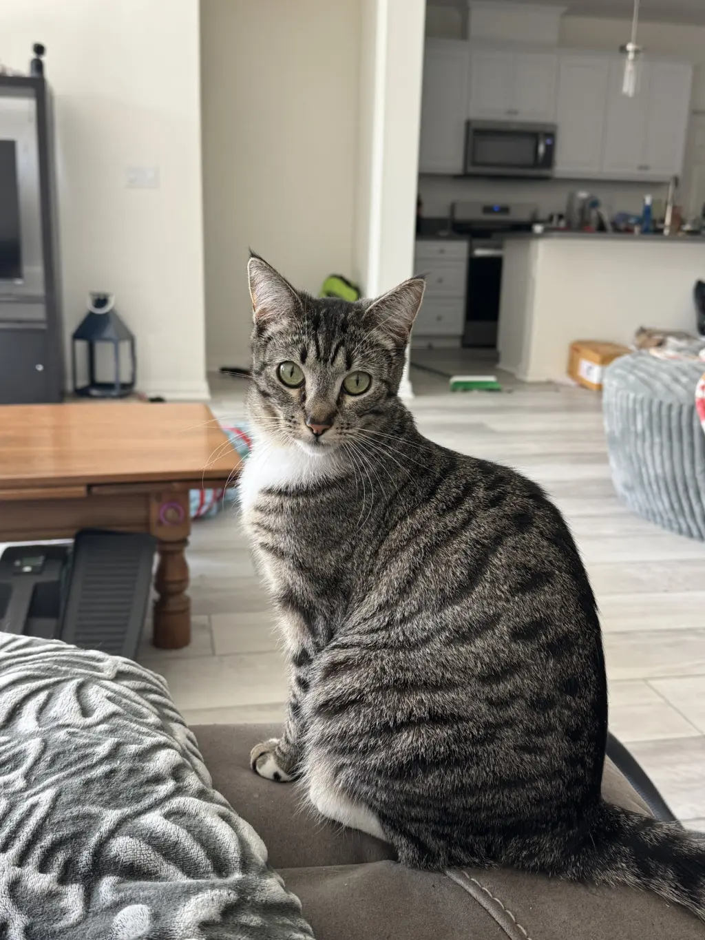 Eloise