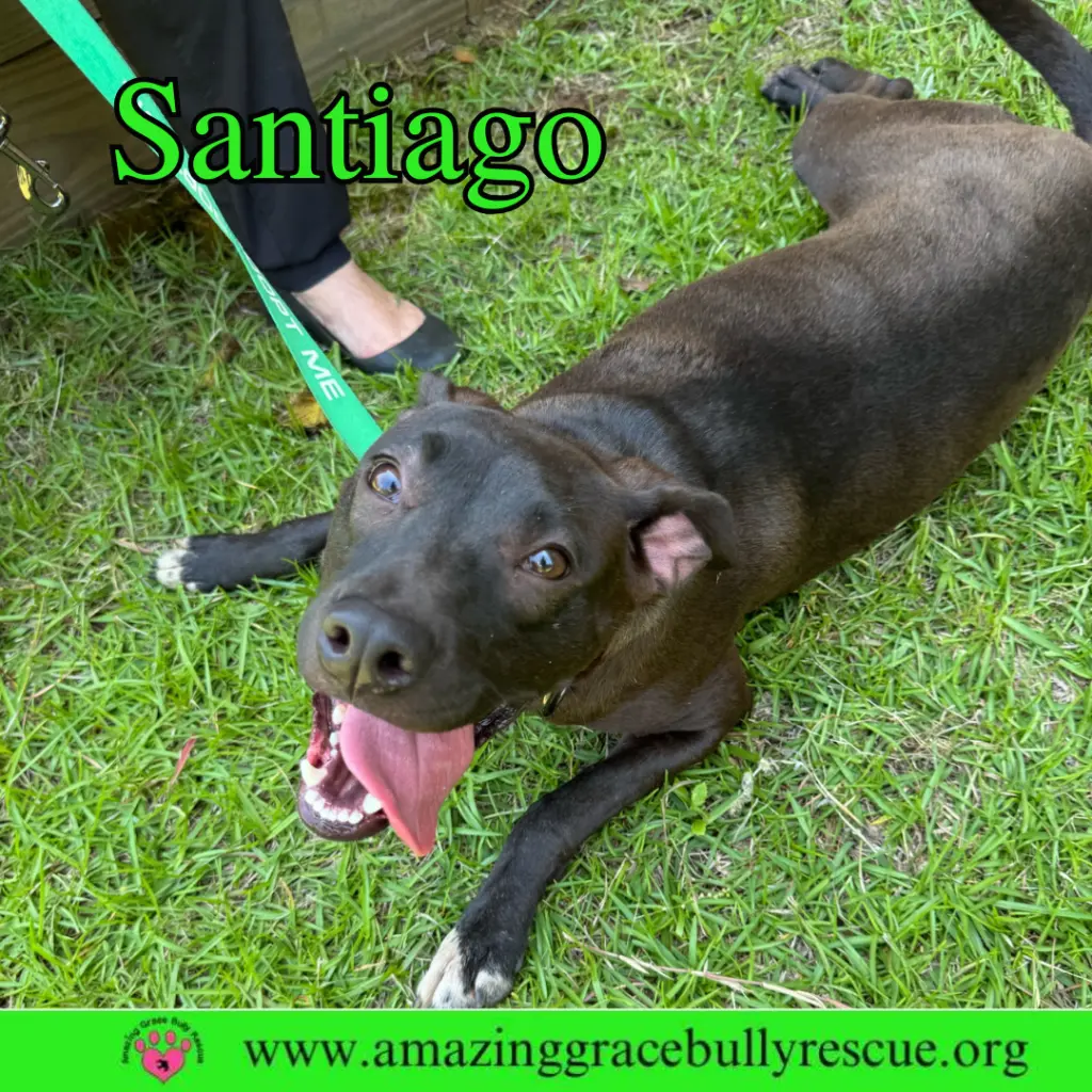Santiago